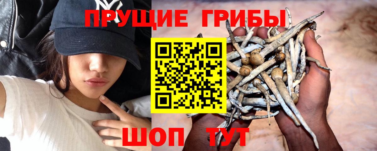 Галлюциногенные грибы ЛСД Фрязино