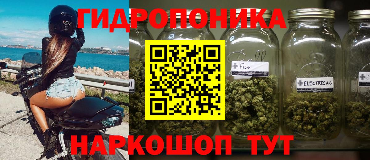 Канабис Amnesia Фрязино